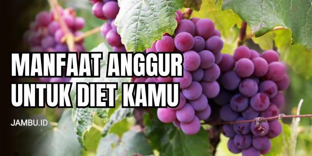 Manfaat Anggur untuk Diet Buah Kecil, Efek Besar untuk Berat Badan Ideal
